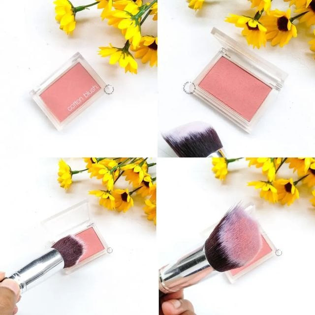 رژگونه پودری میشا