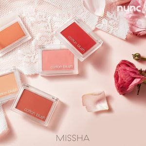 رژگونه پودری میشا رنگ پیکنیک بلنکت