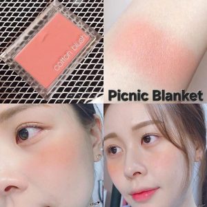 رژگونه پودری میشا رنگ پیکنیک بلنکت